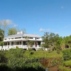 Negocio Guesthouse Peter Flanders