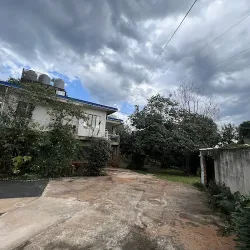 Negocio Habitaciones Panchita