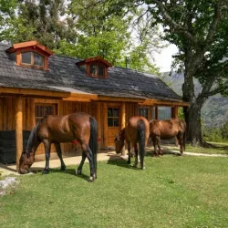 Negocio Hacia El Sur, Cabañas De Campo