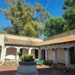 Negocio Haras L'etalon