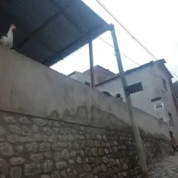 Negocio Hospedaje Asunta