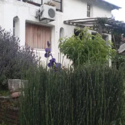 Negocio Hospedaje - Boutique Casa Viaut - Hotel Boutique