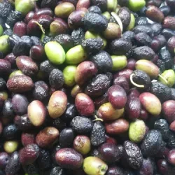 Hospedaje El Canadiense