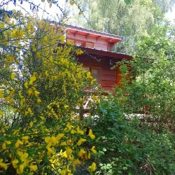 Negocio Hospedaje Las Gardenias