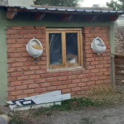 Negocio Hospedaje Lemus