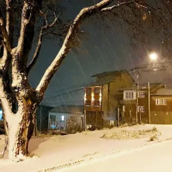 Negocio Hospedaje Lo De Max