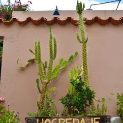 Hospedaje Los Cardones
