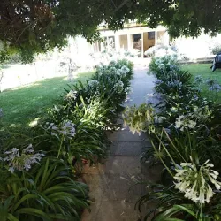 Negocio Hospedaje Mi Casita