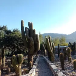 Hospedaje Puntos Cardinales