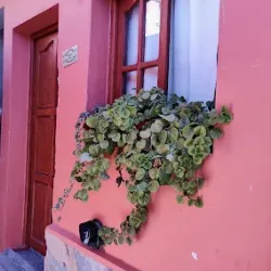 Negocio Hospedaje Tuukay