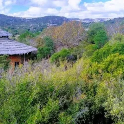 Negocio Hostal Pamahuem