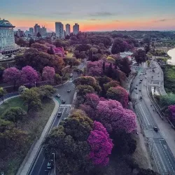 Negocio Hostel Buena Vista