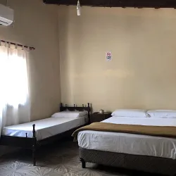 Negocio Hostel Campos