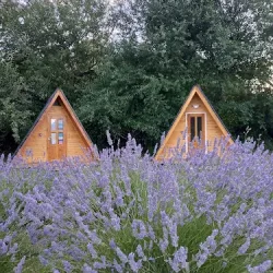 Negocio Hostel Chacra La Templanza