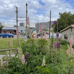 Negocio Hostel Los Viajeros