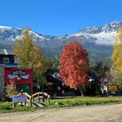 Negocio Hostel Otto Tipp