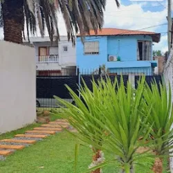 Negocio Hostel Palmera