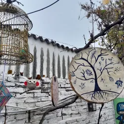 Negocio Hostel Patio De Molina