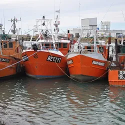 Hostel Punta Ballena