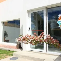 Negocio Hostel Roots Backpackers