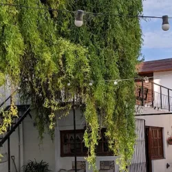 Negocio Hostel Sauce