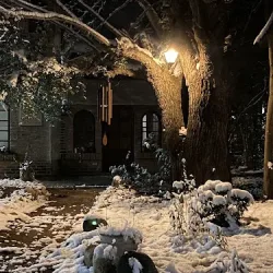 Hostel Y Cabañas El Arca