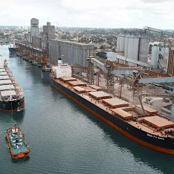 Negocio Hostería Del Bosque