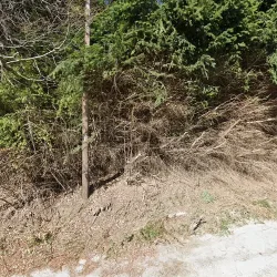 Negocio Hostería Las Vertientes De Carlos Bottcher