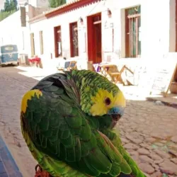 Negocio Hostería Naty