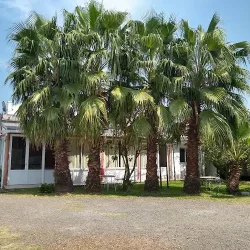 Negocio Hotel 3 De Febrero