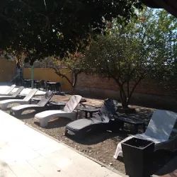 Negocio Hotel Alemar