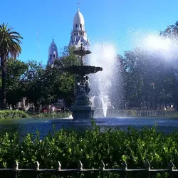 Negocio Hotel Austral