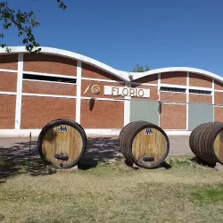 Negocio Hotel Boutique Bodega Florio