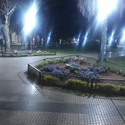 Negocio Hotel Brasil