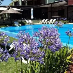 Negocio Hotel Campo & Golf