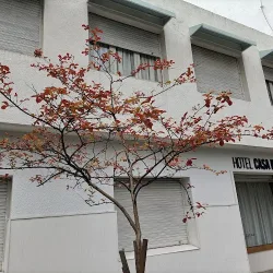 Negocio Hotel Casa Nanet