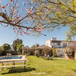 Negocio Hotel Jacarandá