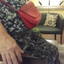 Negocio Hotel Kalton