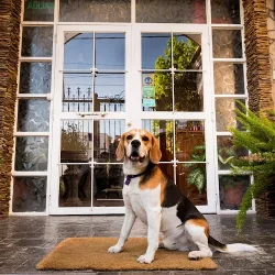 Negocio Hotel La Casa De Mia Mama