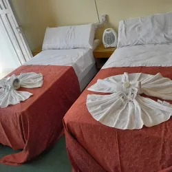 Negocio Hotel Las Palmas