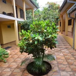 Negocio Hotel Lilian