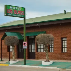 Negocio Hotel Los Olmos