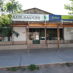 Negocio Hotel Los Sauces