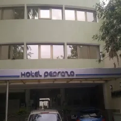 Negocio Hotel Pedraza