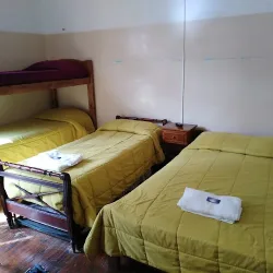 Negocio Hotel Petit Benitos