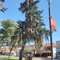 Hotel Residencial Bitty