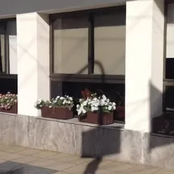 Negocio Hotel San Carlos