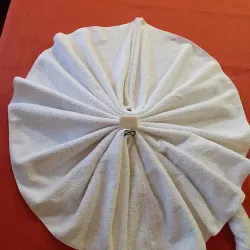 Negocio Hotel San Martín