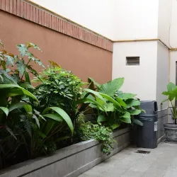 Negocio Hotel Santa Cruz