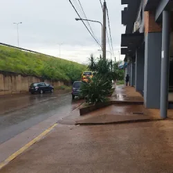 Negocio Hotel Selva Garupa